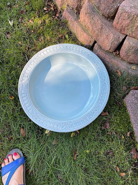 large blue bowl on the grass