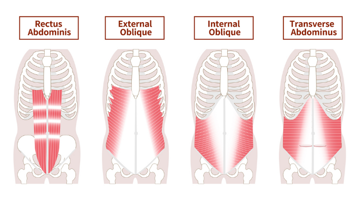 core muscles | Bicycle Crunches