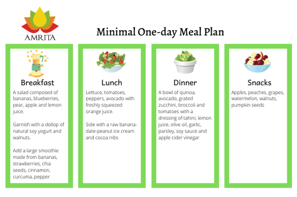amrita minimalist one-day plan