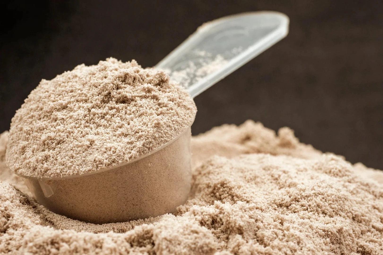 Protein Powder