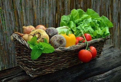 plant-based food