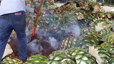 Smoking the hearts of the agave plants (piñas). For more details on how it’s made, check out Epicurious’s article, “The Rise of Mezcal”.