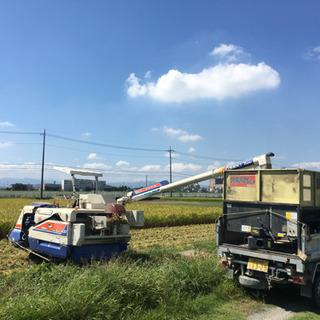85997958_4