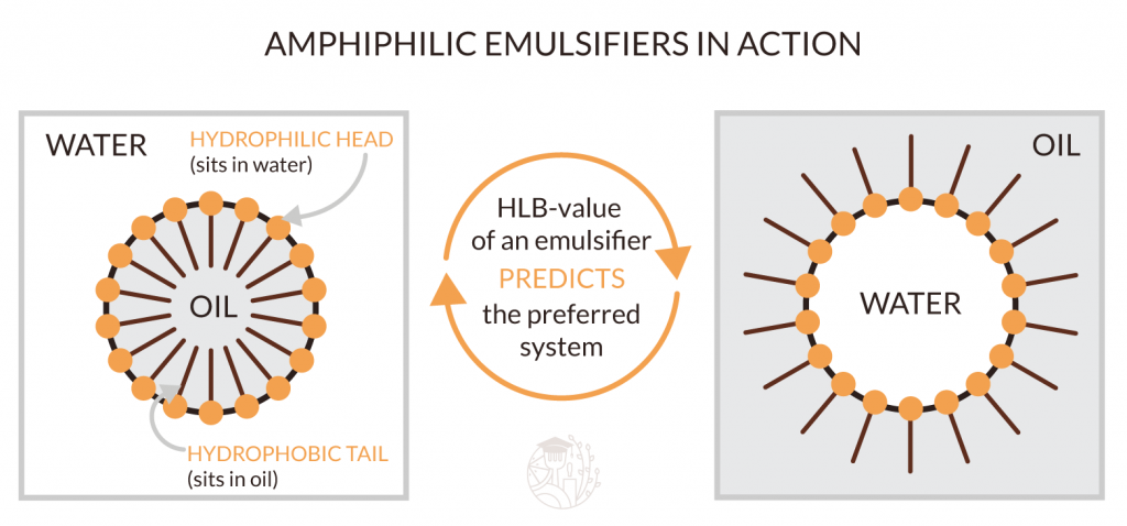 amphiphilic emulsifiers in action