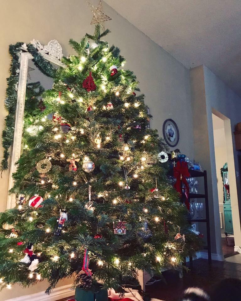 Best Christmas Tree Nordmann Fir | The Rose Table