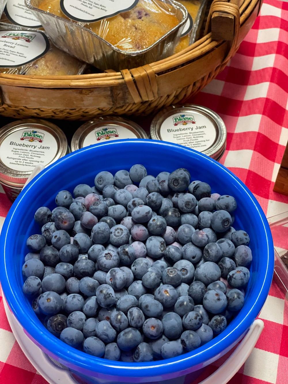 Blase Family Farm Blueberries