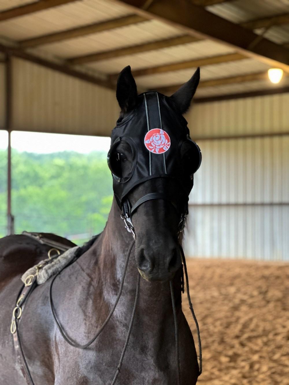 Appointments USA Blinkers | Horse Blog