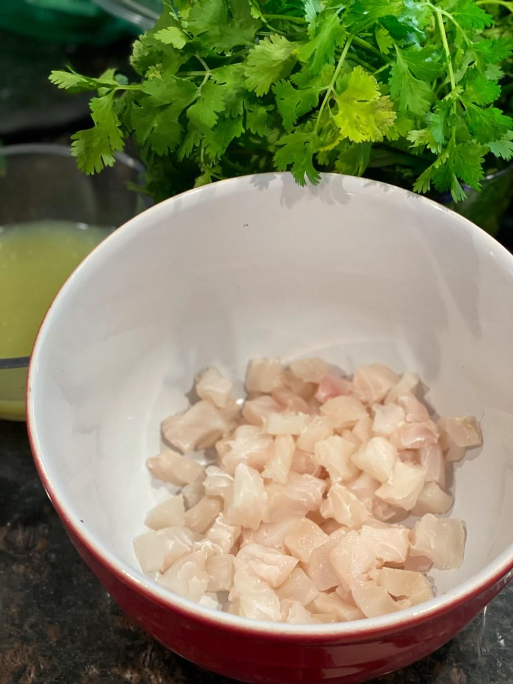Ceviche Recipe