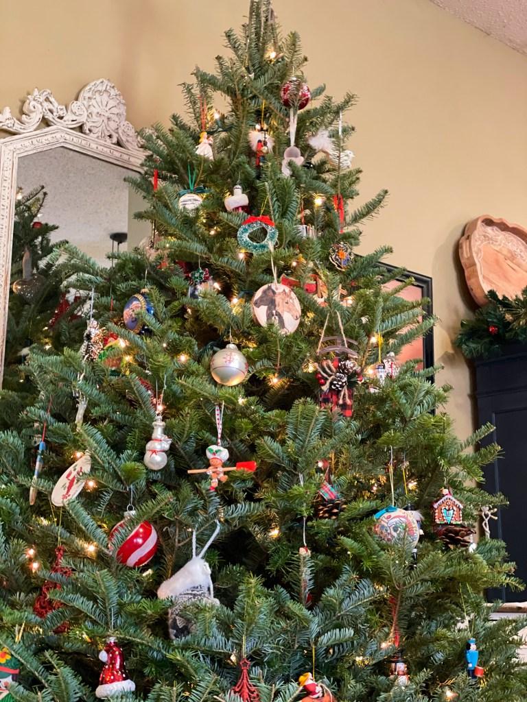 Buying a real Christmas Tree