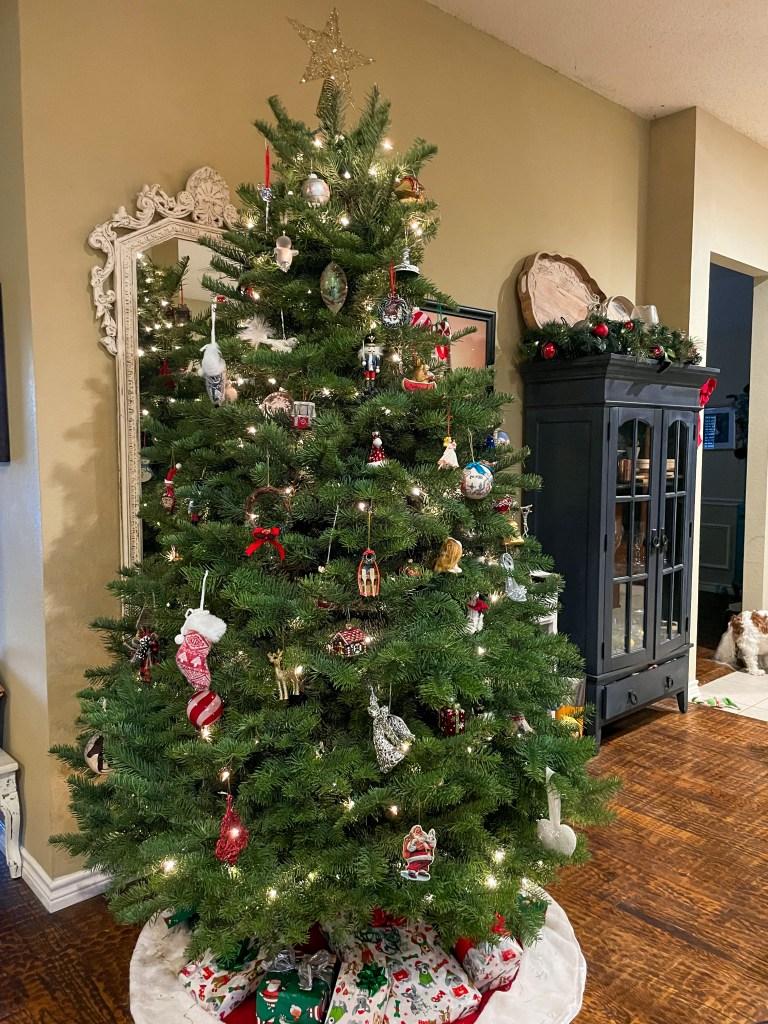 Buying a real Christmas Tree