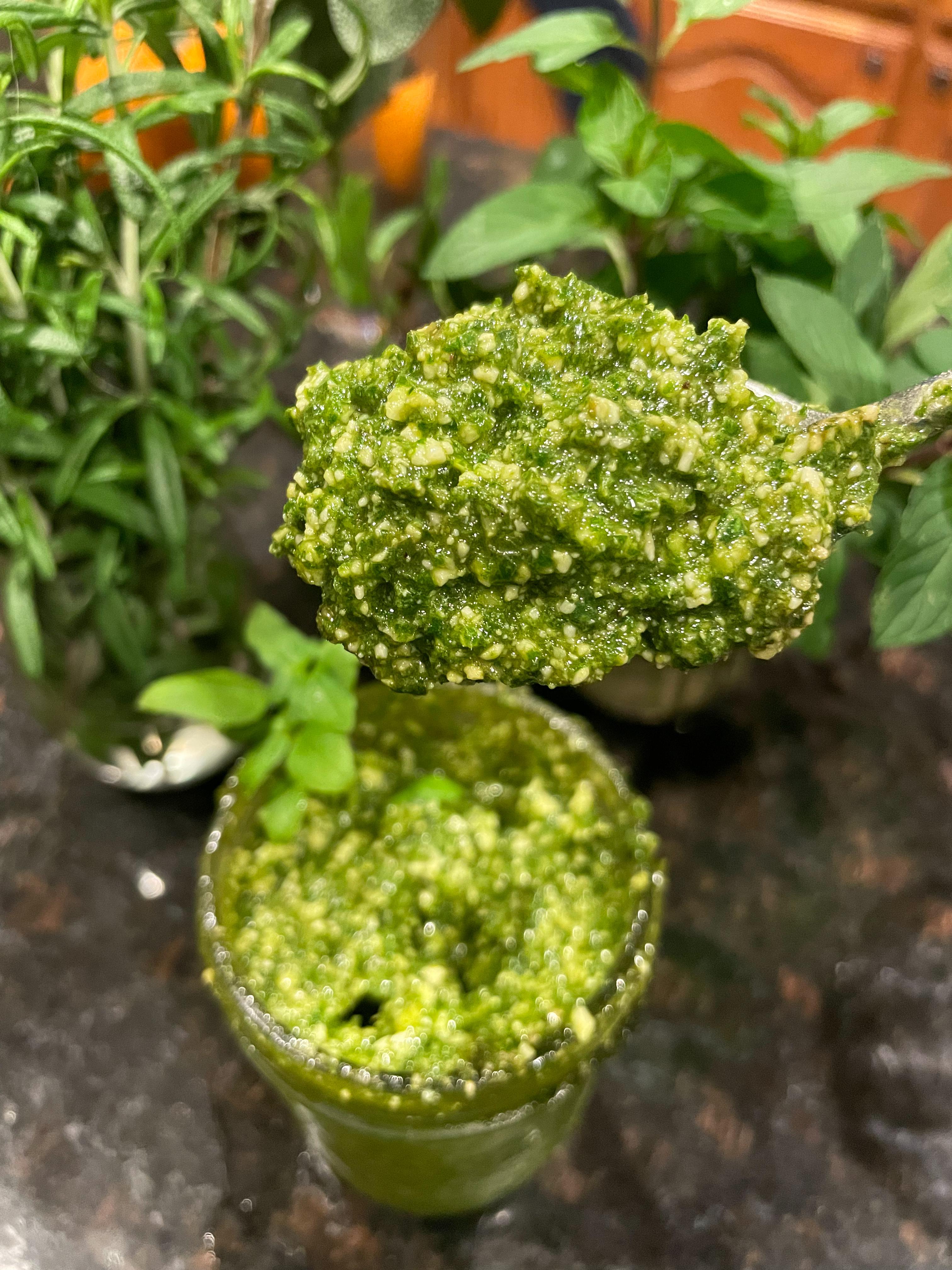 Spicy Globe Basil Pesto