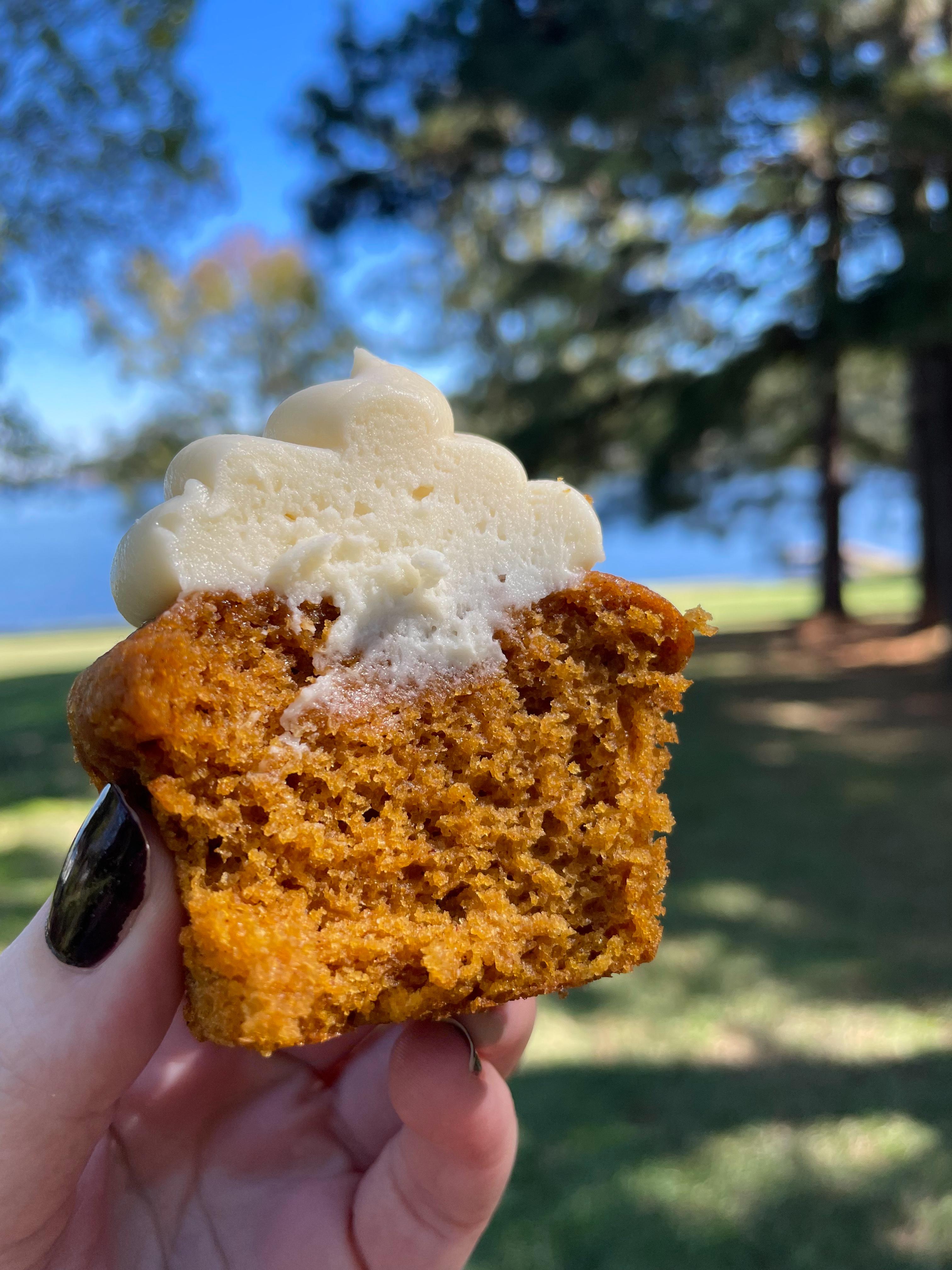 Pumpkin Cupcakes