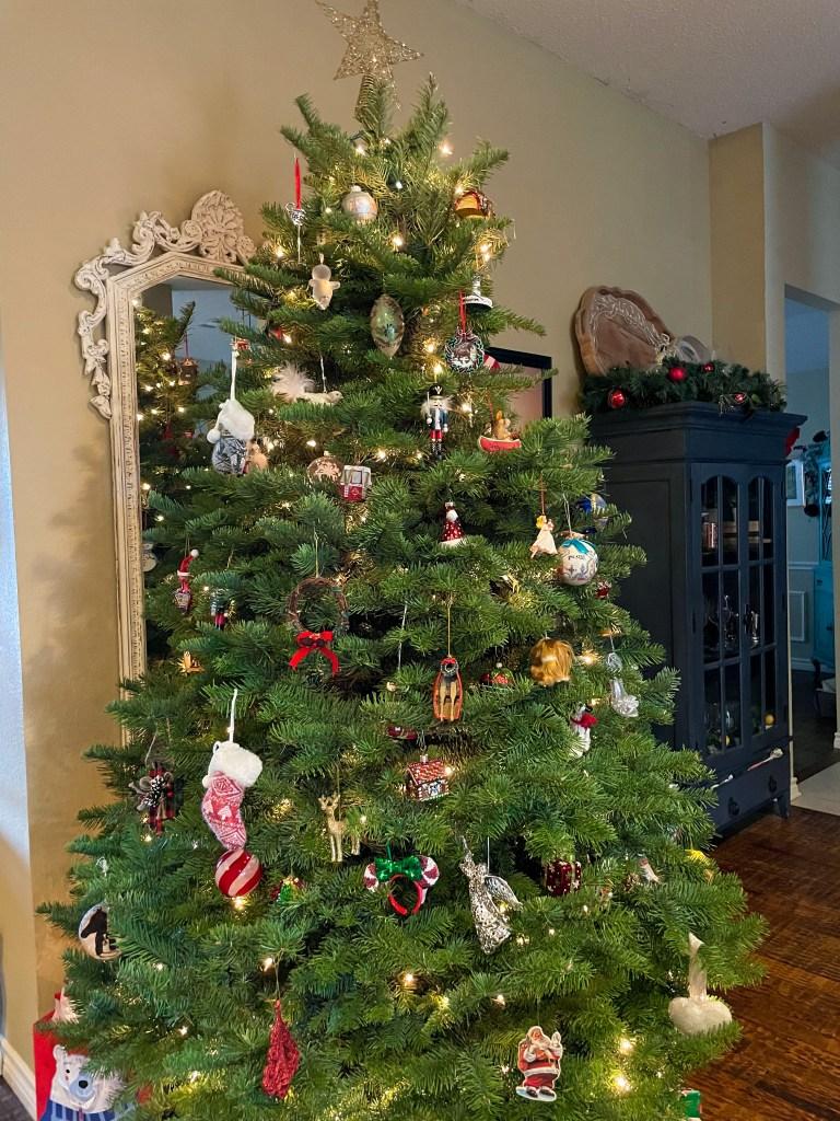 Buying a real Christmas Tree