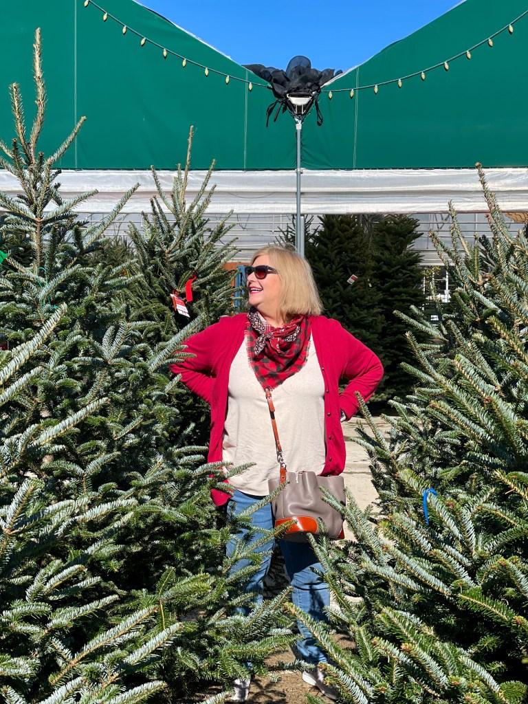 Buying a real Christmas Tree