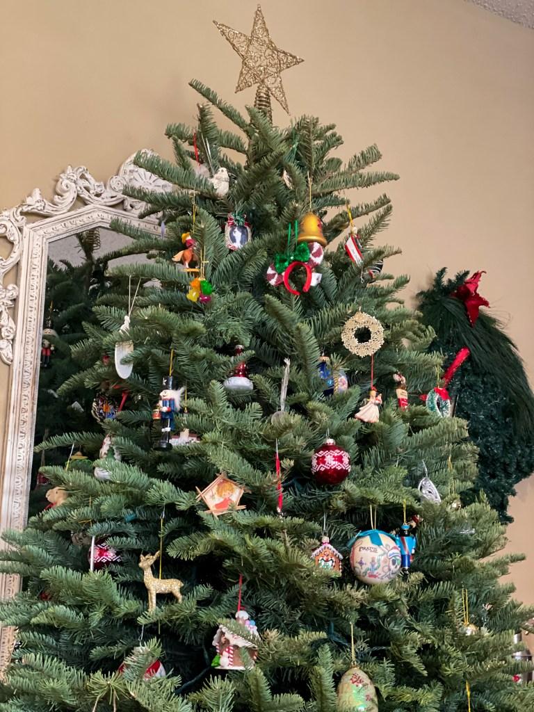 Noble Fir Christmas Tree