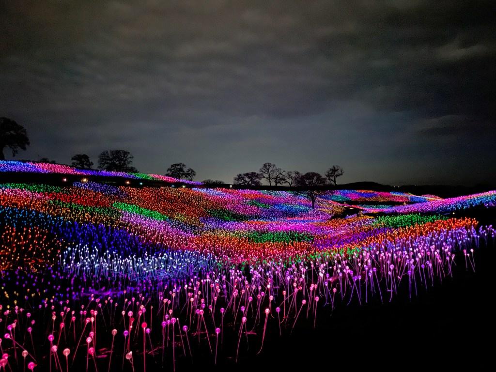 Sensorio Field of Light