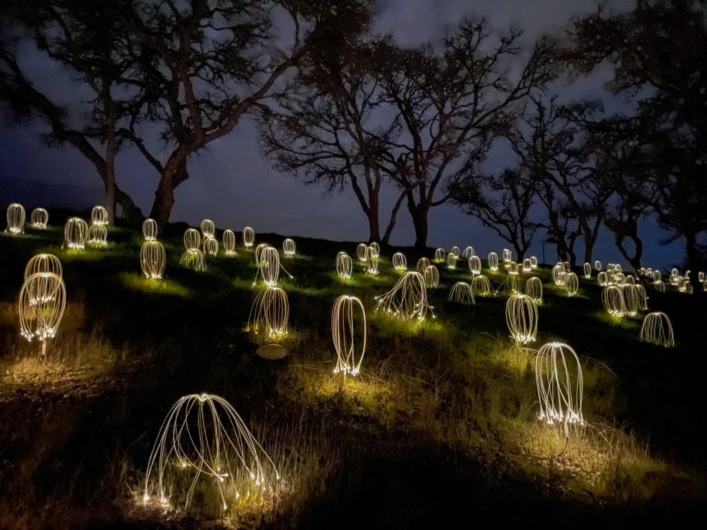 Sensorio Fireflies