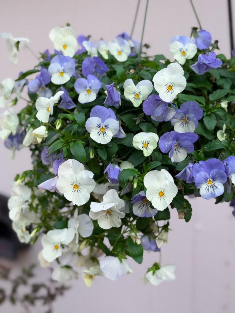 Garden Party Crostini