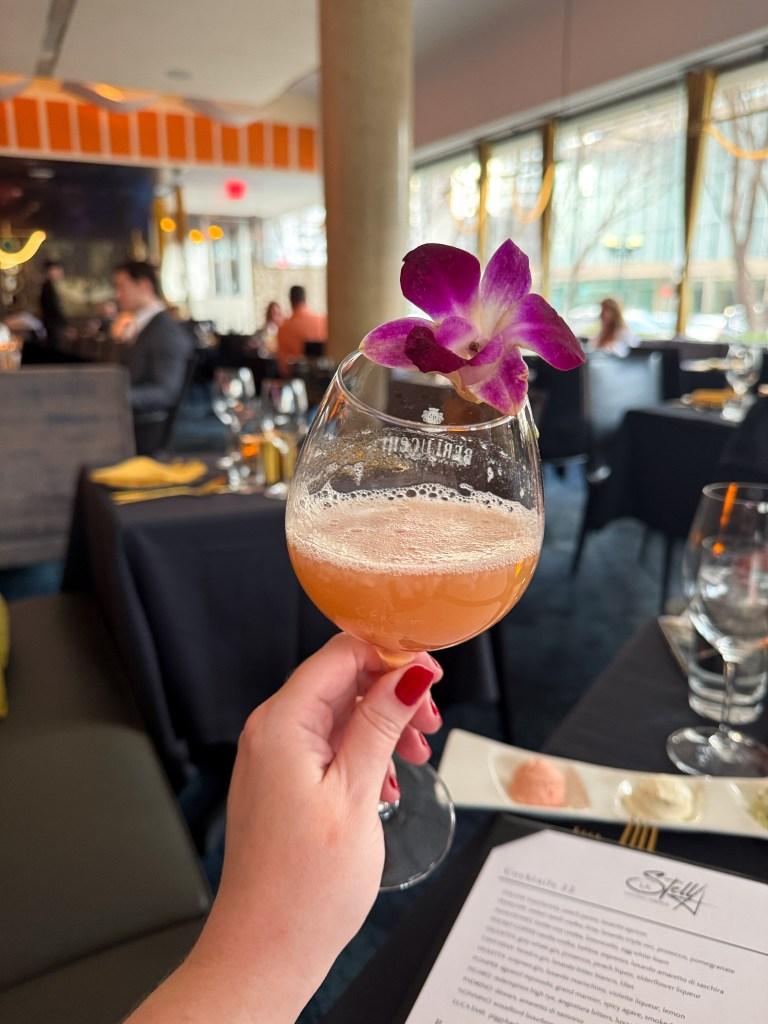 La Stella Review