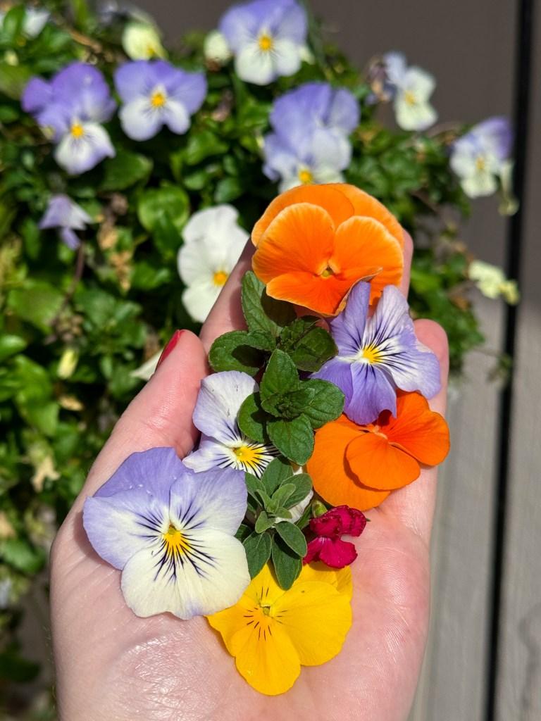 Garden Party Crostini