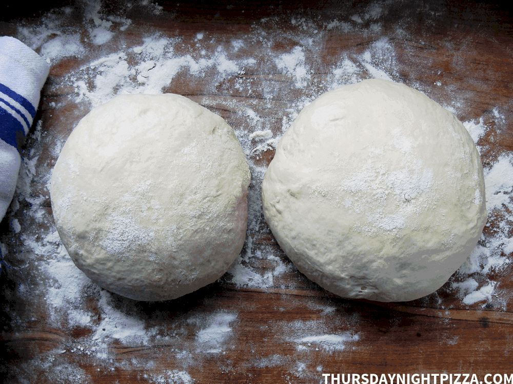 dough balls after resting