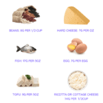 protein content of food