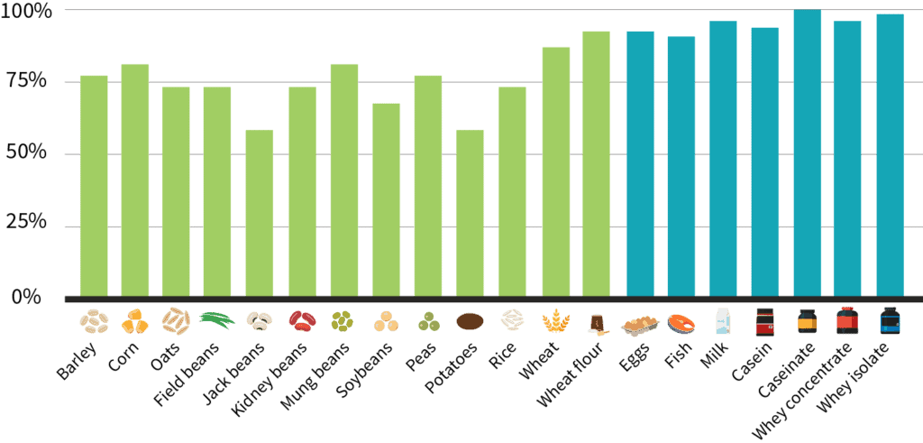 protein in foods