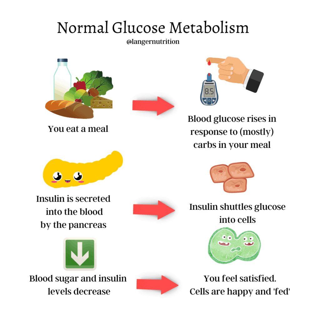 what is insulin resistance