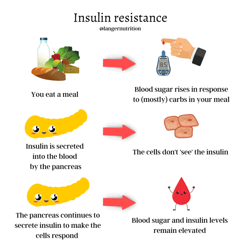 what is insulin resistance