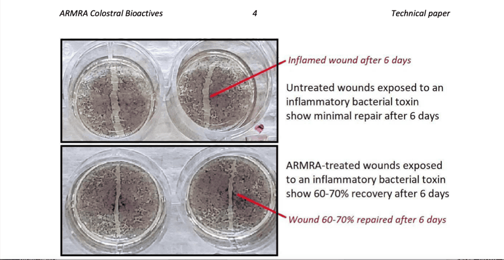 armra colostrum review