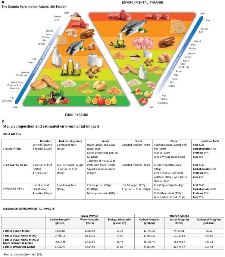 plant vs animal protein