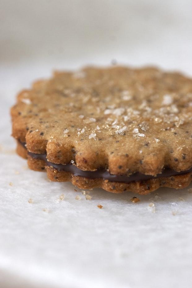 a single sandwich cookie filled with chocolate with sugar on top