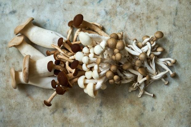 a variety of mushrooms to be used as ingredients for kimchi soup