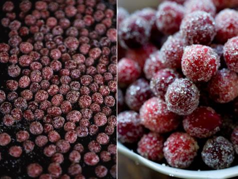 Sparkling Cranberries