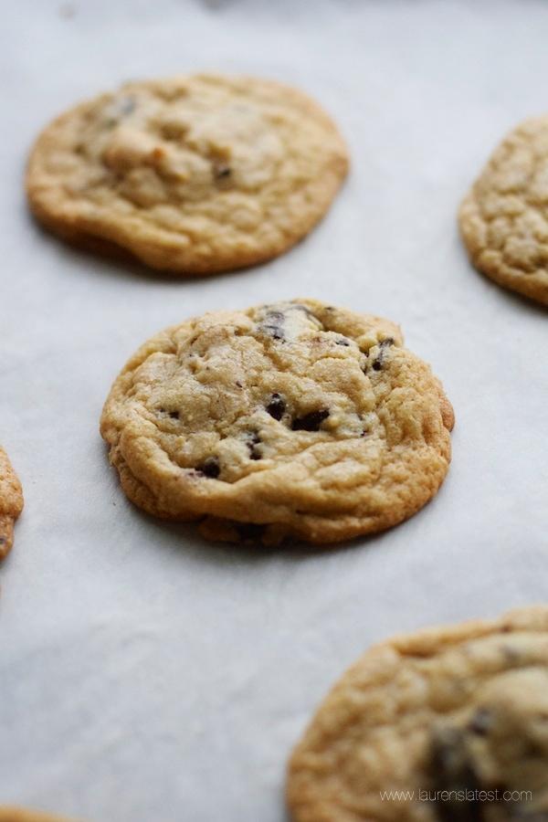 Chocolate Chip Walnut Cookies