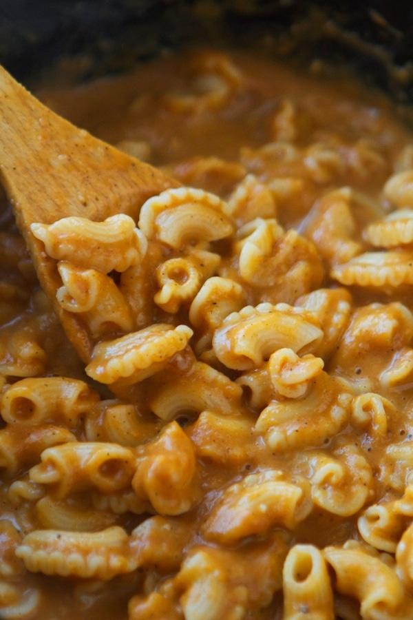 Butternut Squash Alfredo