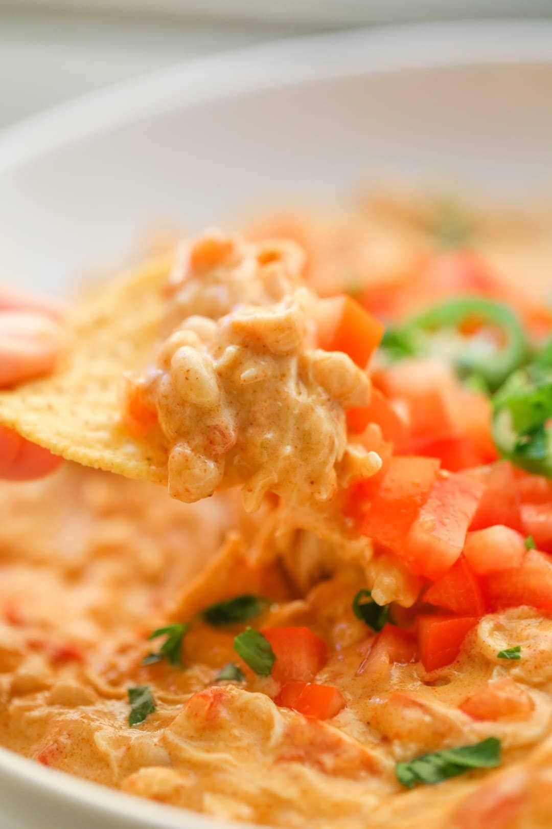 Chicken Nacho Dip