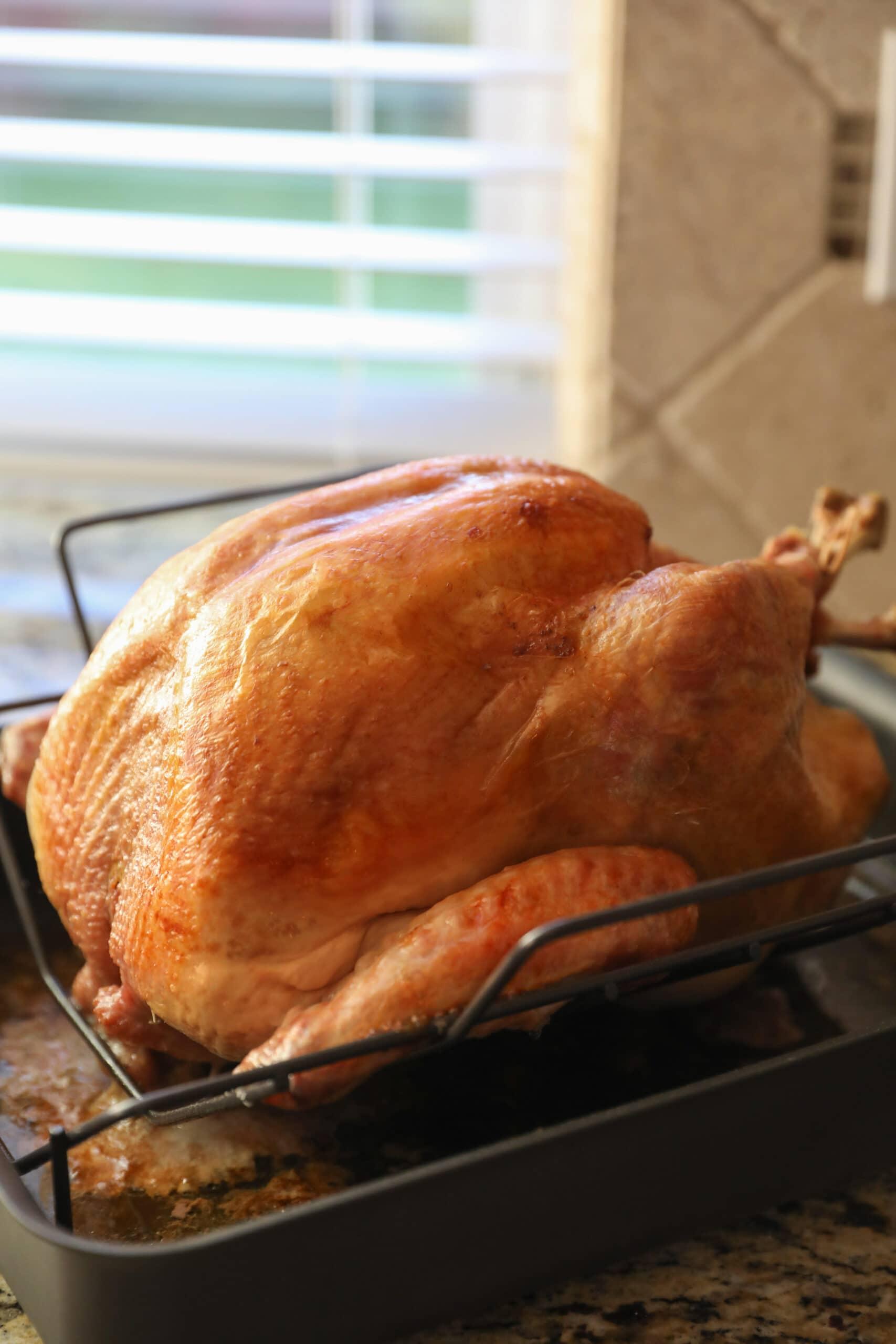 roasted turkey in roasting pan