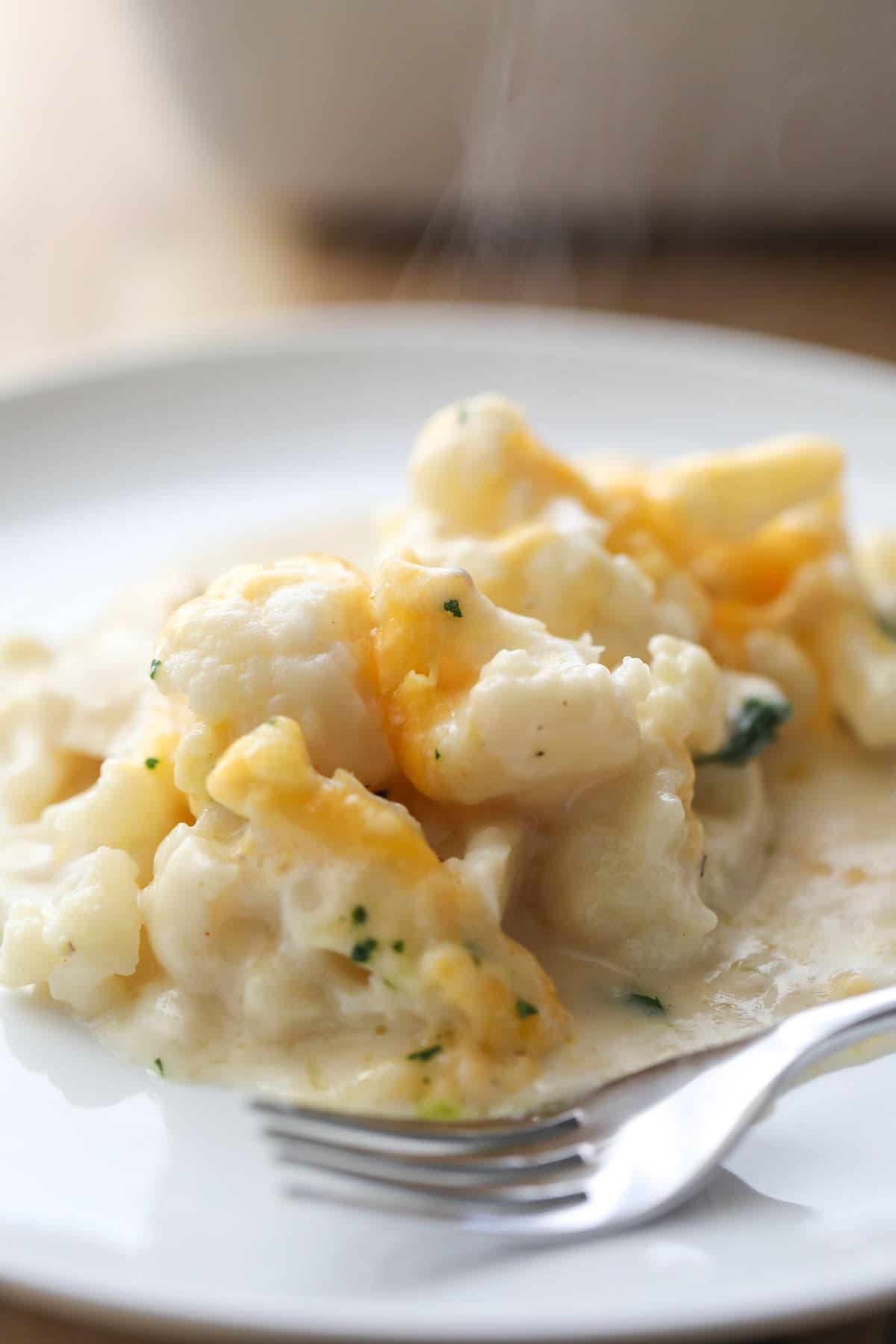 cauliflower au gratin on white plate