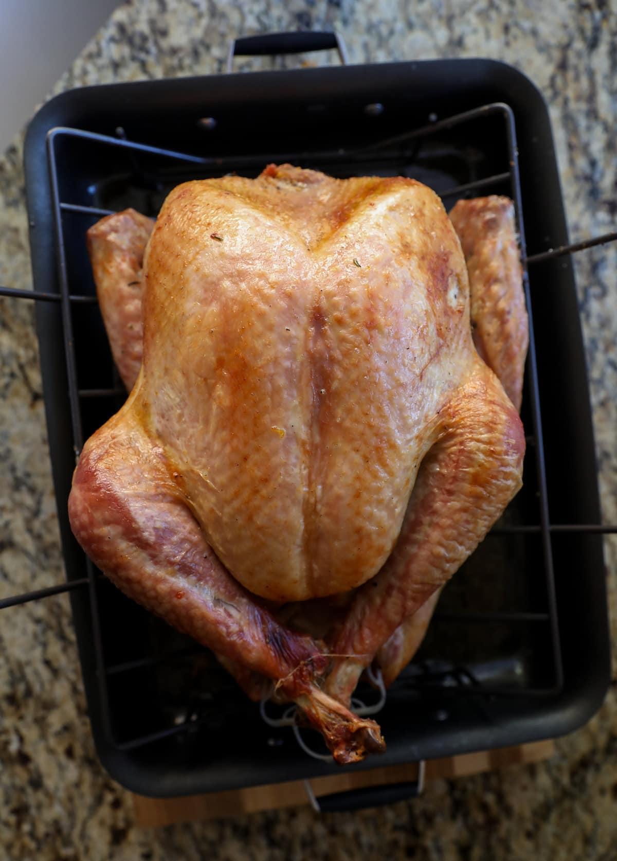 roasted turkey in roasting pan