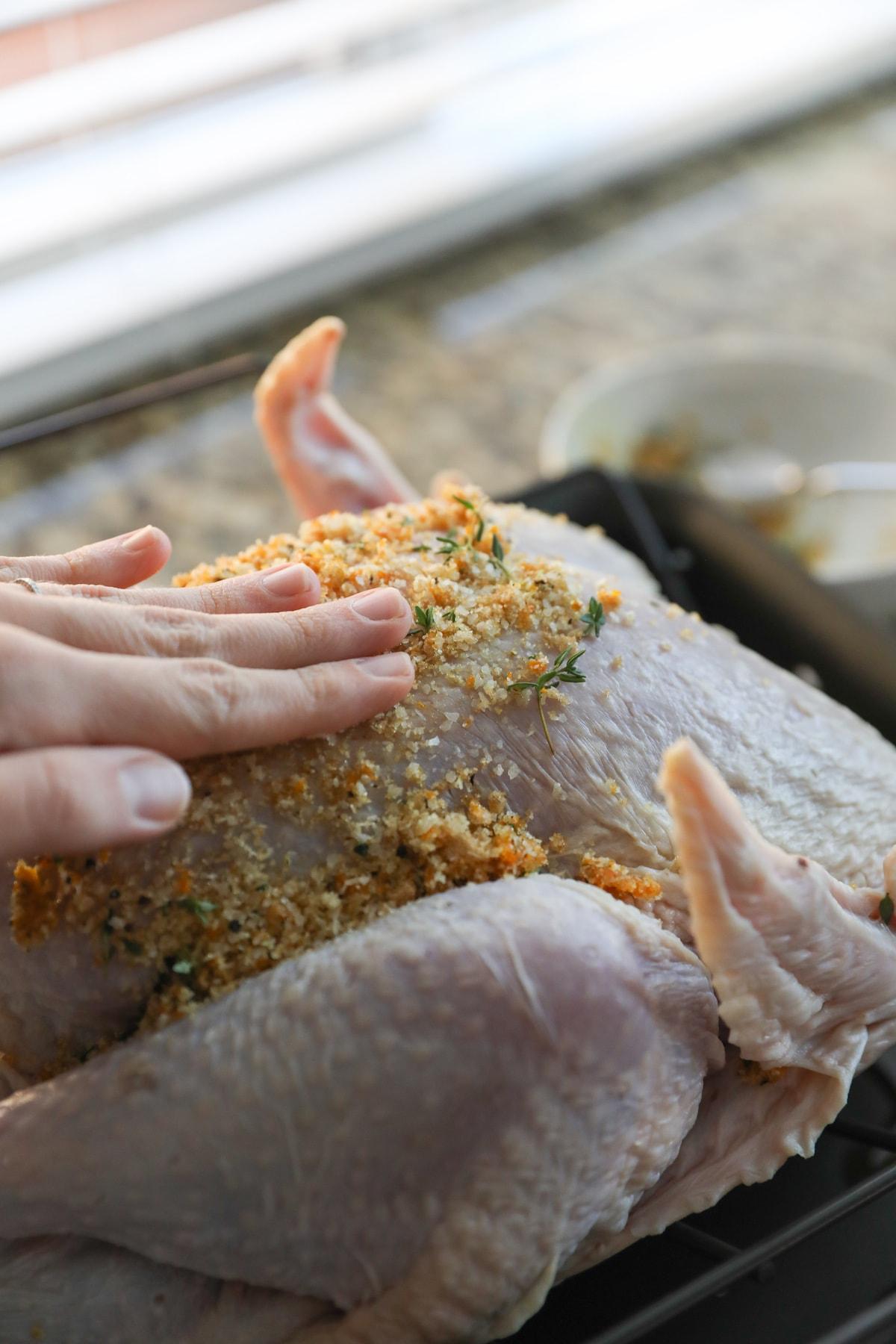 rubbing dry turkey brine into turkey