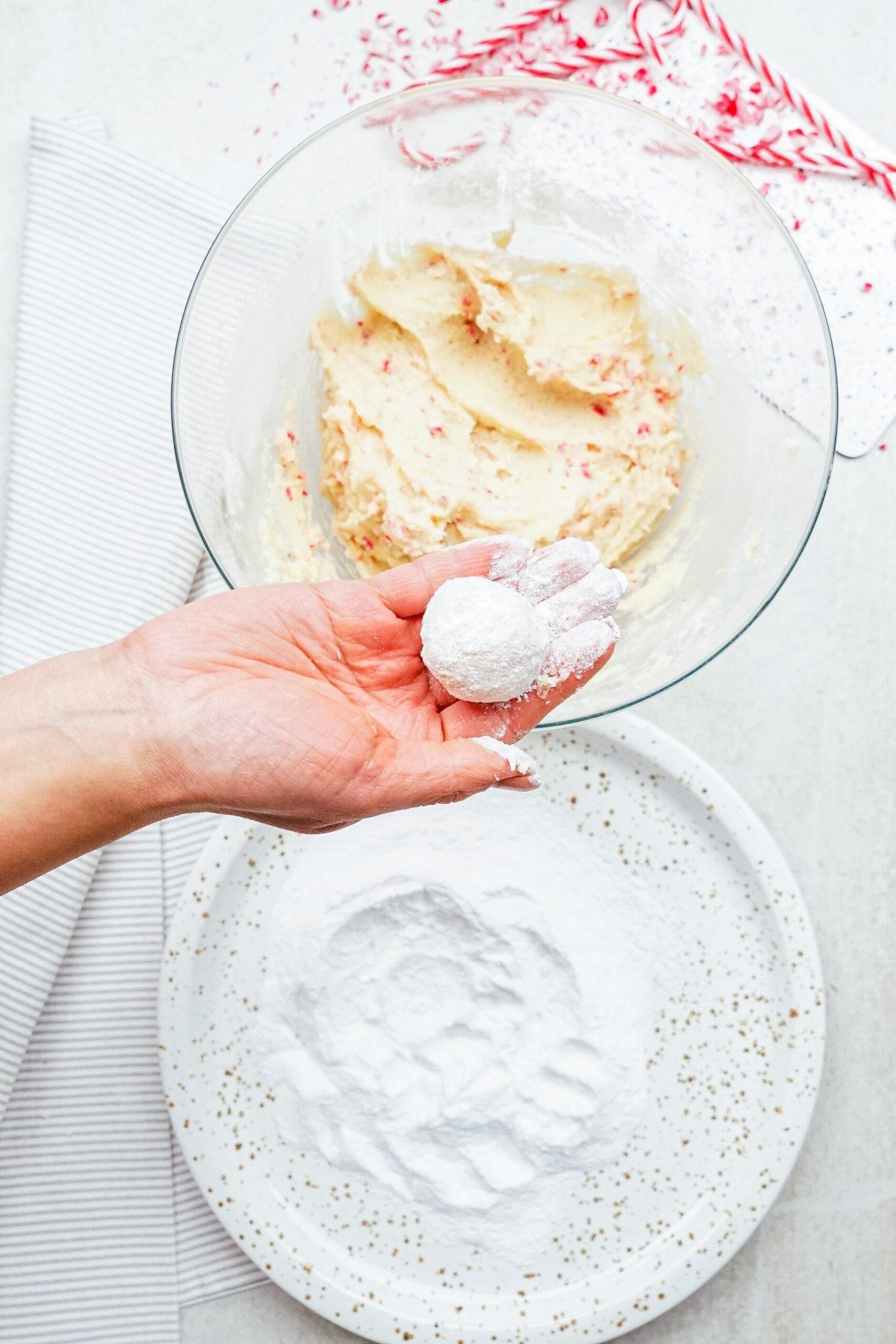 woman's hand holding a cookie dough ball rolled in powdered sugar 