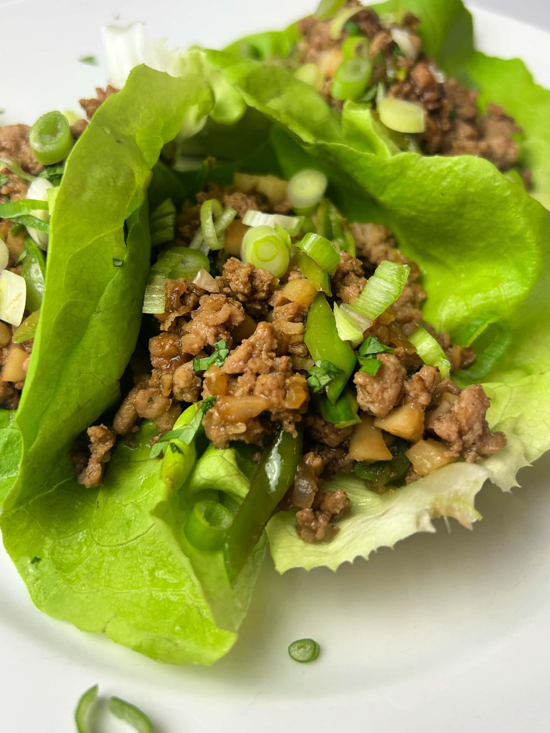 Ground Turkey Wrap on a plate