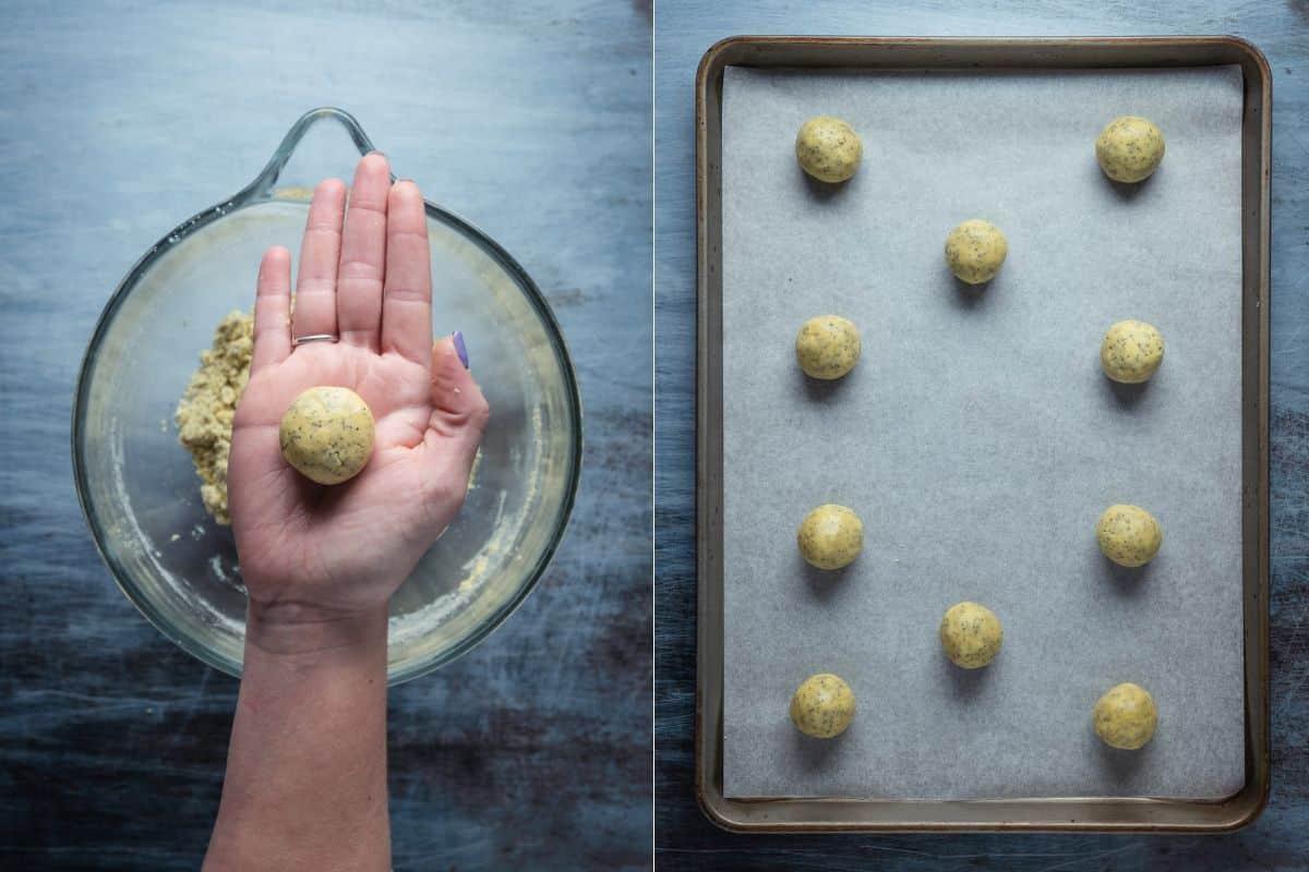 Roll dough into balls and place onto parchment lined cookie tray.