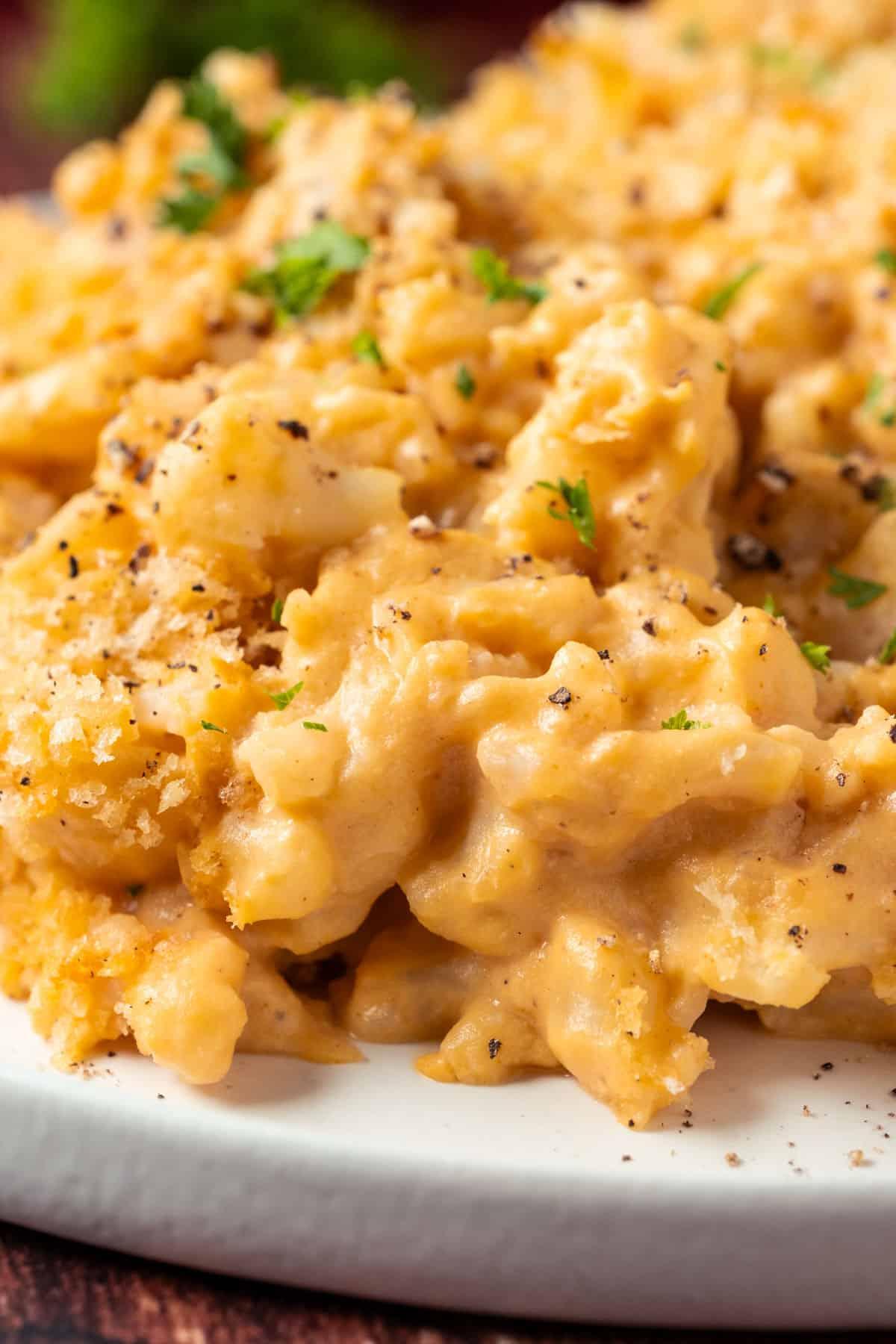 A close up of Vegan Cauliflower Mac And Cheese on a white plate.