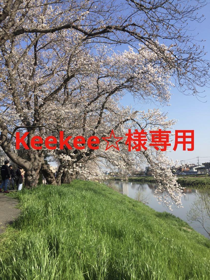 kabaya ダイノワールド　7box（70個セット）