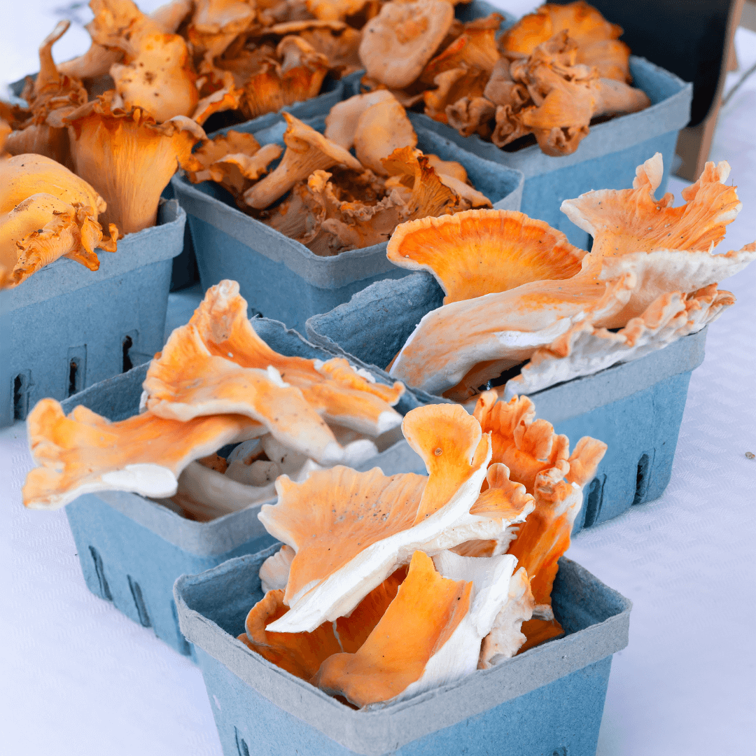 VegNews.ChickenoftheWoodsMushroom.Canva