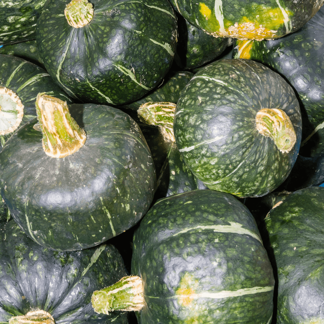 VegNews.ButtercupSquash.Canva