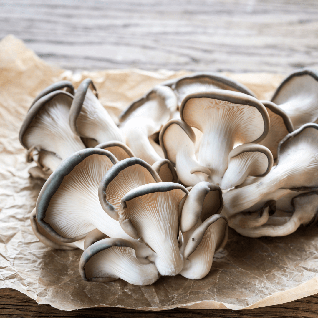 VegNews.OysterMushroom.Canva