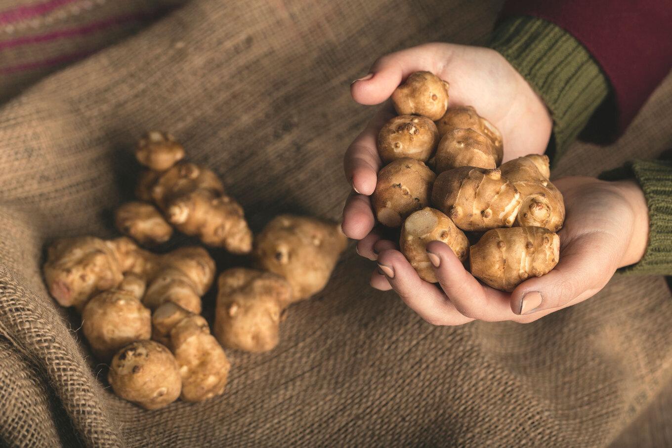 VegNews.Sunchokes.Getty